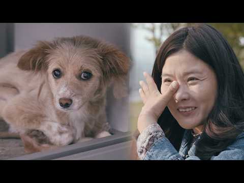 This is what happens when you meet a rescuer right before euthanasia (Heemang(Hope) Full Ver.)