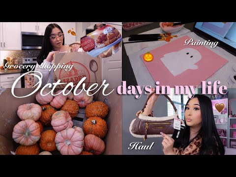 OCTOBER DAYS IN MY LIFE🧡🍂: Trader Joe’s, cozy vibes, grocery haul, painting & baking cookies 