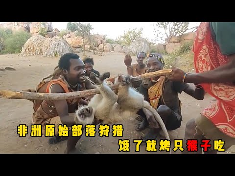 非洲原始部落狩猎，饿了就烤猴子吃，渴了就喝泥水，哈扎比原始部落抓狒狒，中途意外收获一头疣猪#documentary #纪录片 #动物