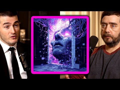 Algorithms on psychedelics: Can computation get high? | Michael Levin and Lex Fridman