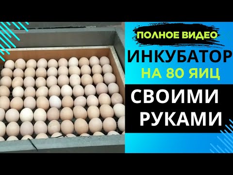 Full video DIY penoplex incubator for 80 eggs