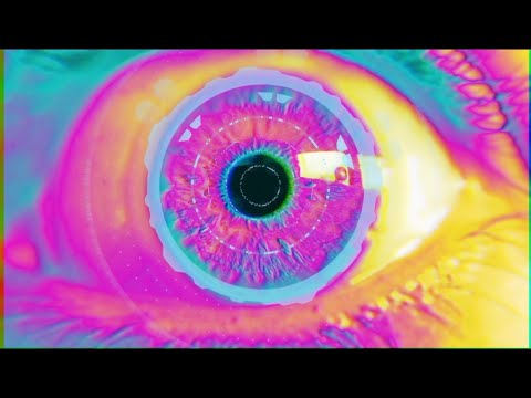 ¿Qué le Sigue al Internet?