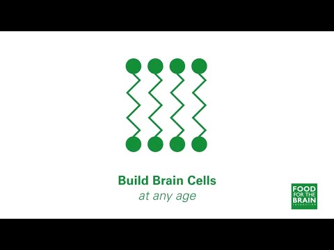 Build New Brain Cells. Keep Your Brain Healthy.