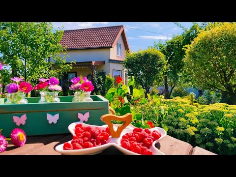 Огород Красоте не Помеха. Огород с Фантазией на приусадебном участке. Обзор. Август.