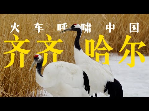 火车环游中国到达齐齐哈尔，在丹顶鹤的故乡吃炭火烤肉｜黑龙江｜小可追太阳｜Travel around China by train｜Qiqihar｜Hei Long Jiang
