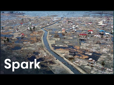 2004 Tsunami: The Wave That Killed A Quarter Of A Million People