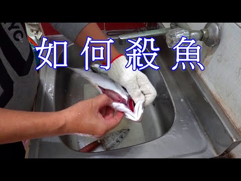"魚事你知道４" 分享如何殺魚以及檢視是否新鮮 2022