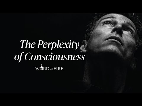 Consciousness and the Body | Stephen Doran