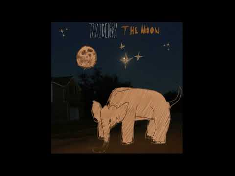 “The Moon”, The Microphones Cover