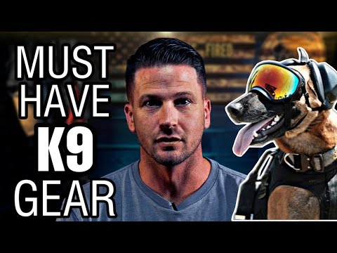 EVERYTHING You Wanted to Know About Police K9 Gear
