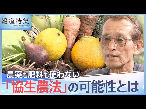 農薬・肥料使わず、土も耕さない、多様な作物を育てる「協生農法」の可能性とは【報道特集】｜TBS NEWS DIG