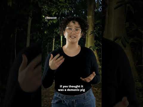 What's that scary noise?