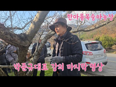 박준규 대표 마지막 강의 영상 #복숭아전지 #복숭아전정 #복숭아가지치기