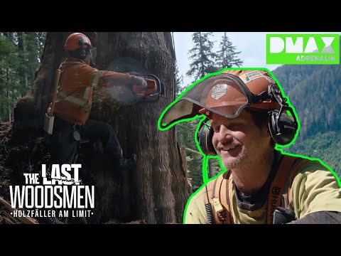 Achtung❗️Baum fällt 🌳🪓 | The Last Woodsmen | COMPILATION | DMAX Adrenalin