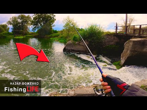 Rural MICRO-RIVER Was Very Surprised - Trophy Bites of Pike and Perch