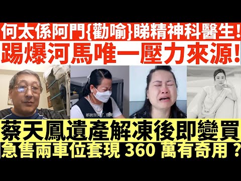 何太係阿門{勸喻}睇精神科醫生!|踢爆河馬唯一壓力來源!|蔡天鳳遺產解凍後即變買|急售兩車位套現360萬有奇用?|井仔點睇 #何伯何太上庭 #何太上庭 #何太精神病發 #陳官質疑河馬 #何太開庭先嚟病