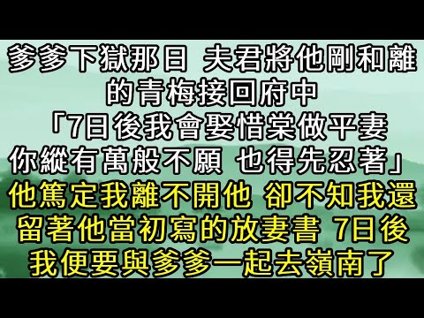 爹爹下獄那日，夫君將他剛和離的青梅接回府中。「7日後，我會娶惜棠做平妻，你縱有萬般不願，也得先忍著」 他篤定我離不開他。不知道我還留著他當初一氣之下寫的放妻書。再過7日。 我便要與我爹一起去嶺南了。