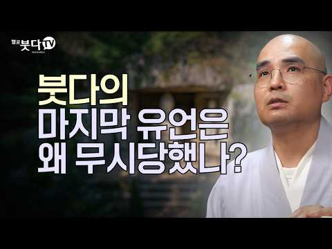 붓다는 성공한 CEO, 예수는 왜 실패했나? | 불교가 인도에서 사라진 치명적 이유 | 자현스님이 알려주는 진짜 불교 이야기 | 불교란 무엇인가 통합본 9회