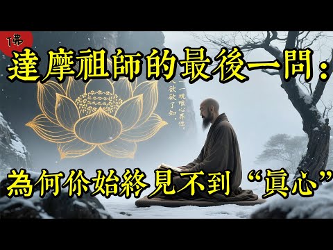 達摩祖師：肉身無常之際，為何不見真心？理解後令人豁然開朗！|佛教 |佛學知識|修心修行|禪悟人生 |南無阿彌陀佛|養生|談佛心安