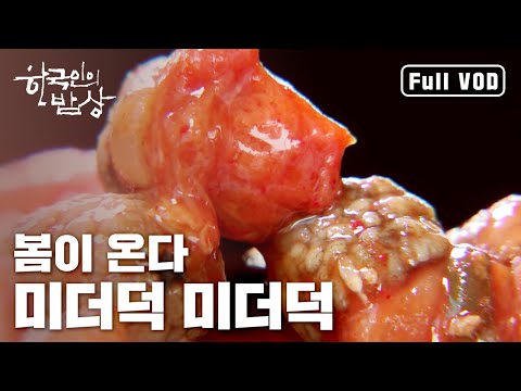 [한국인의밥상] 툭! 터지면 봄이 온다 - 마산 미더덕 ｜ #달큰한봄밥상 #경남창원 #마산 (Full VOD)