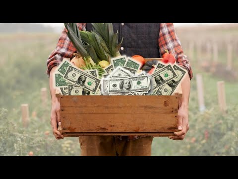 Good Farms Are Smart With Money