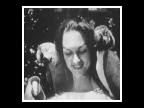 Florida's High Spots