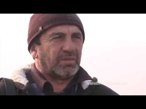 Малкинский конный завод. Кабардино-Балкария.