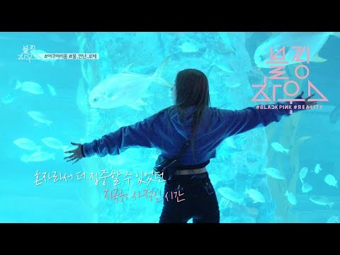 BLACKPINK - ‘블핑하우스 (BLACKPINK HOUSE)’ EP.8-5