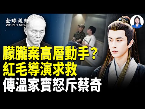 朦朧案戳中滅共按鈕 蔡奇陷局中局？ 于成犧牲品 紅毛導演承認犯案？傳溫家寶怒斥：要被歷史清算！【全球視野】