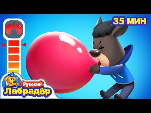 Все на медосмотр! | Популярный сборник мультиков для детей | Детская жизнь | Шериф Лабрадор