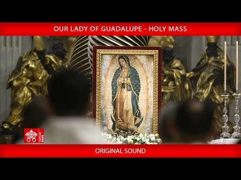 12 December 2025, Our Lady of Guadalupe, Holy Mass - Pope Leo XIV
