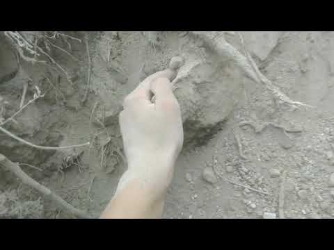 Коп по старым местам, с металоискателем ст 944,  вот сколько  пропускал мд 4030!