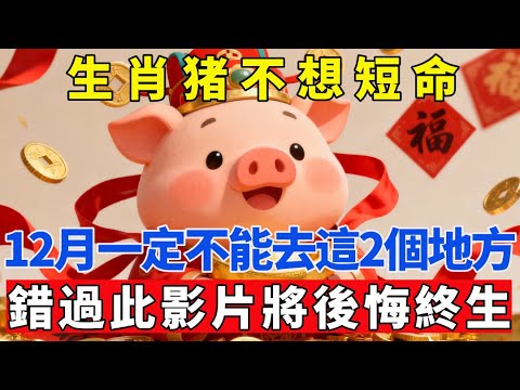 生肖豬不想短命，12月一定不能去這2個地方，錯過此影片將後悔終生。【生肖吉運坊】#生肖 #命理 #運勢 #屬相 #風水