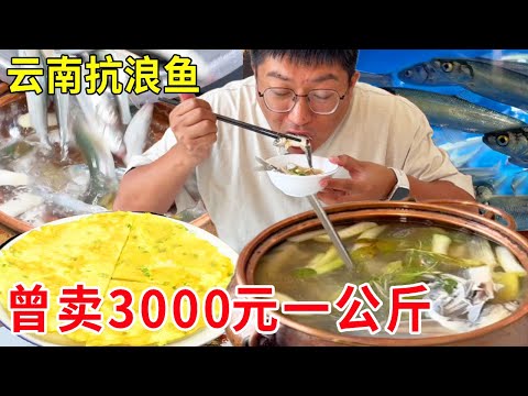 云南抚仙湖边吃“水中黄金”抗浪鱼，当年曾卖3000元一公斤，极致鲜美太过瘾#麦总去哪吃