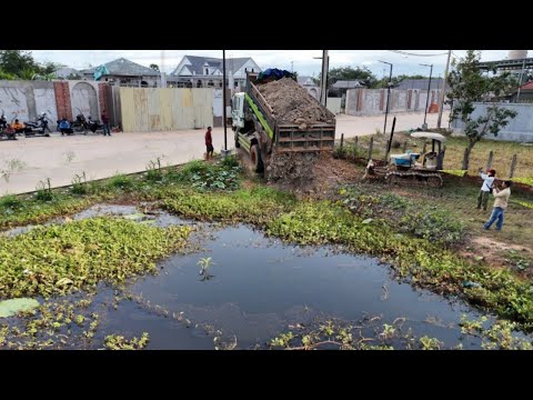 Incredible Activities Starting New Perfect PROJECT Delete POND by Komat'su D20P Dozer Push Soils &
