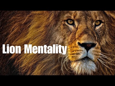 Lion Mentality 🦁 | Unstoppable Motivation for Success”