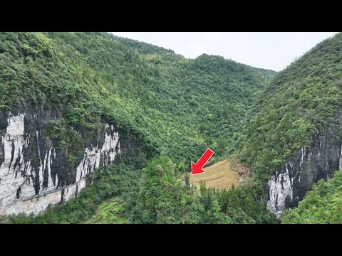 現實版荒野求生，60歲老人獨居天坑50多年無兒無女，他到底如何生活的？【花花樂遊記】