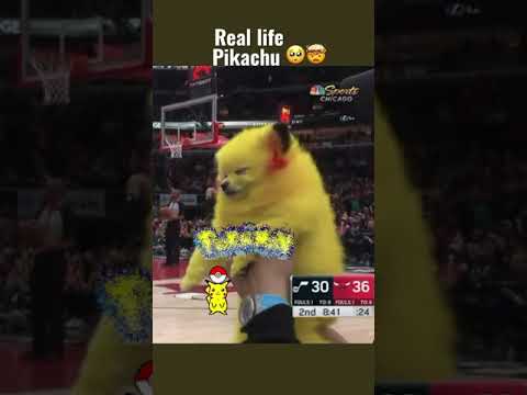 Real Life Pikachu