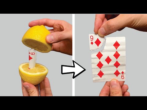 Revealing the Card-in-Lemon Trick – Easy and Amazing!