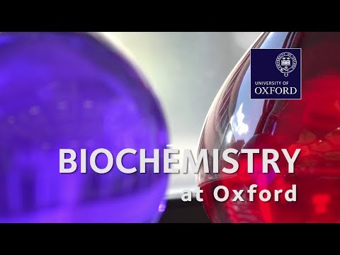 Biochemistry (Molecular and Cellular) at Oxford University