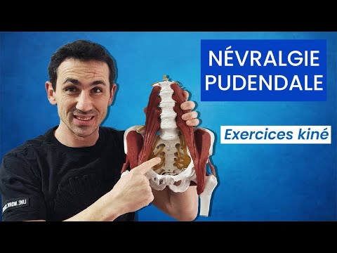 Soulager la Névralgie Pudendale : Exercices kiné