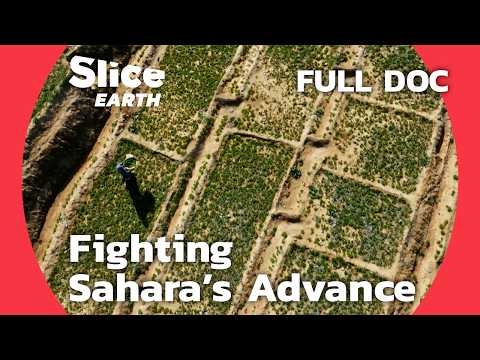 Stopping the Sahara: Morocco and Senegal's Environmental Battle | SLICE EARTH | FULL DOCUMENTARY