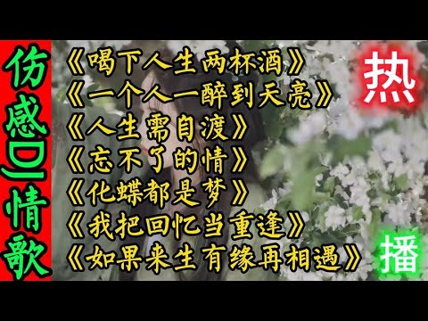 7首李英超好听伤感DJ情歌《喝下人生两杯酒》如果来生有缘再相遇