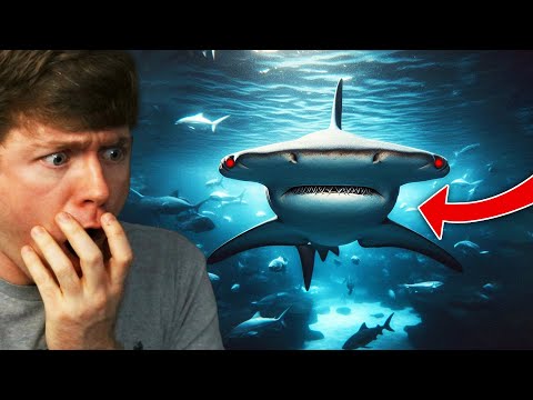 There's a GIANT SHARK in my POOL!? - Sharks and Minnows