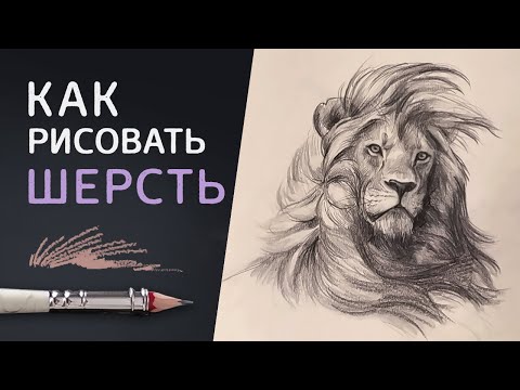 КАК РИСОВАТЬ ШЕРСТЬ животных карандашом // 3 способа