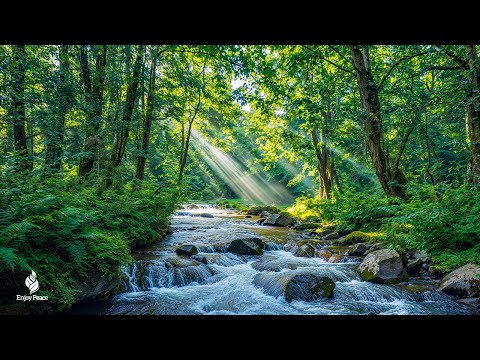 Soothing, Healing Music for Relieving Stress, Depression