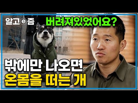 생후 1달 만에 쓰레기 더미의 한 상자에 버려졌던 강아지. 노견들 사이에서 커가는 철부지 강아지에 강형욱의 조언┃세상에 나쁜 개는 없다┃알고e즘