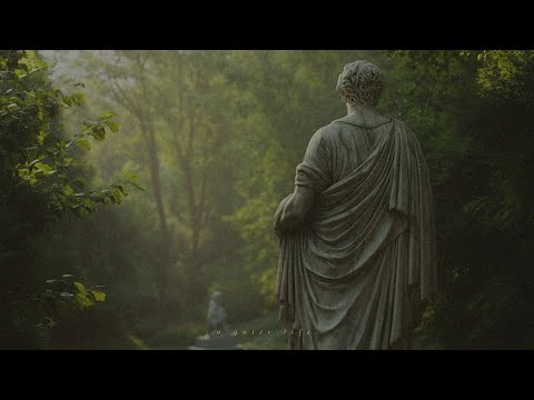 a playlist for slow walks in the garden with soft melodies in the background