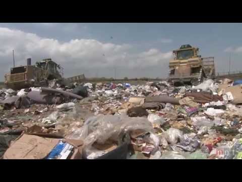 Tossed Out: Food Waste in America