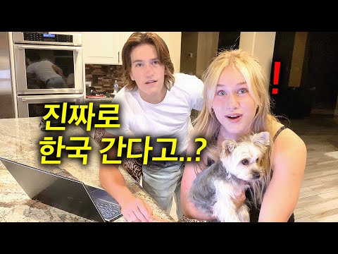 한국에서 사는 게 꿈이라던 미국 아이들에게 한국행 비행기표를 깜짝 선물하자..